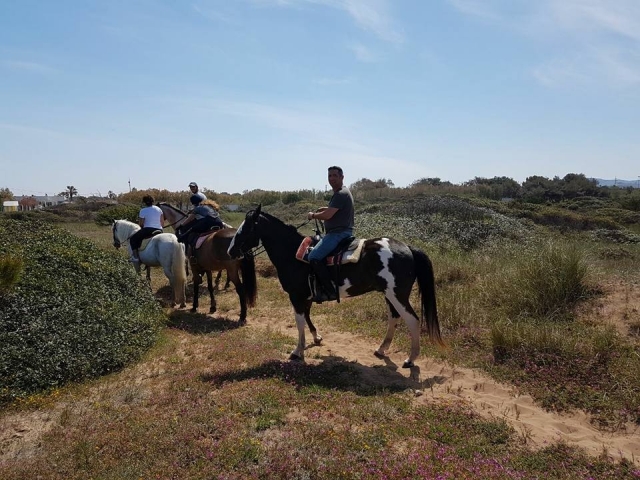  Paseo en compañía