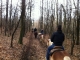 Passeggiate a Cavallo Piemonte