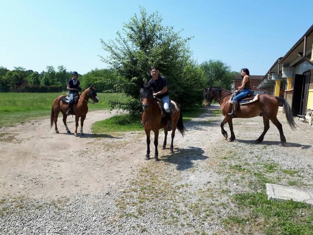 A caballo en compañía 