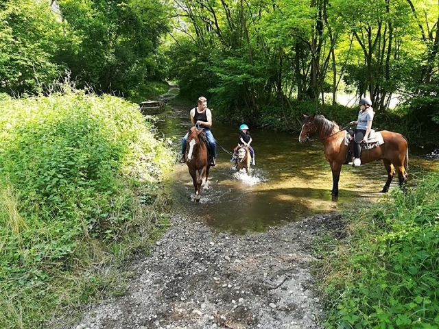 Durante la excursión 