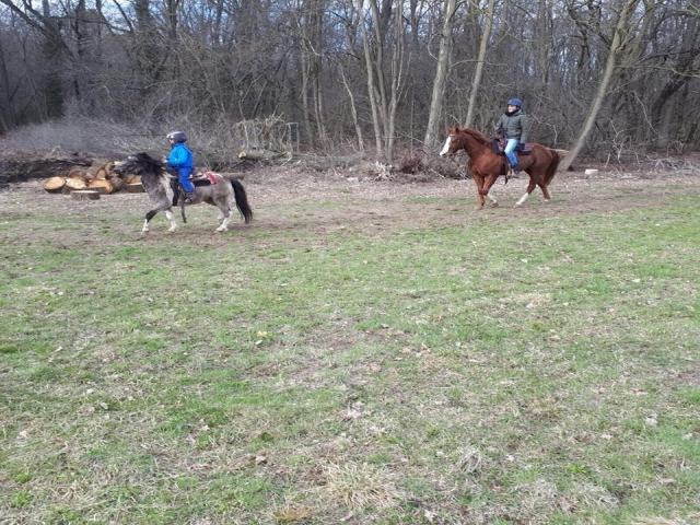  Galopando por los senderos