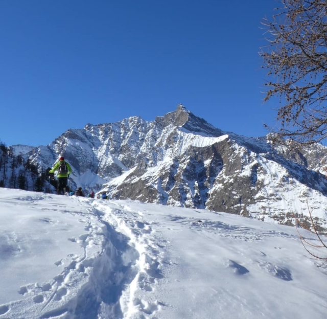 Snowshoeing 
