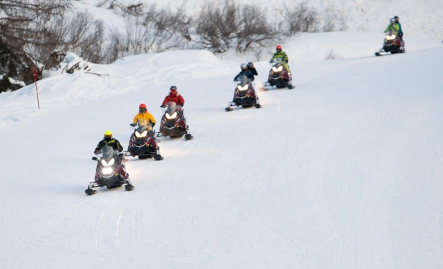  lined up in the snow 