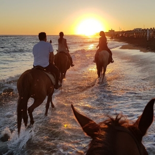 Reitausritt in Castel Fusano 2 Stunden