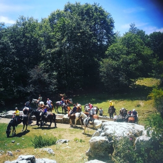 2 day horseback riding trip + entrance to the Roman Baths