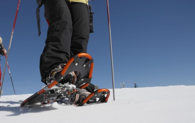  Schneeschuhe eine neue Art, den Schnee zu erleben