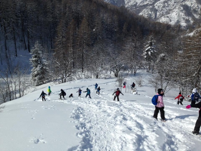  all together in the snow