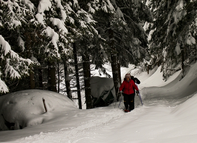  Dans les bois de Bardonecchia 