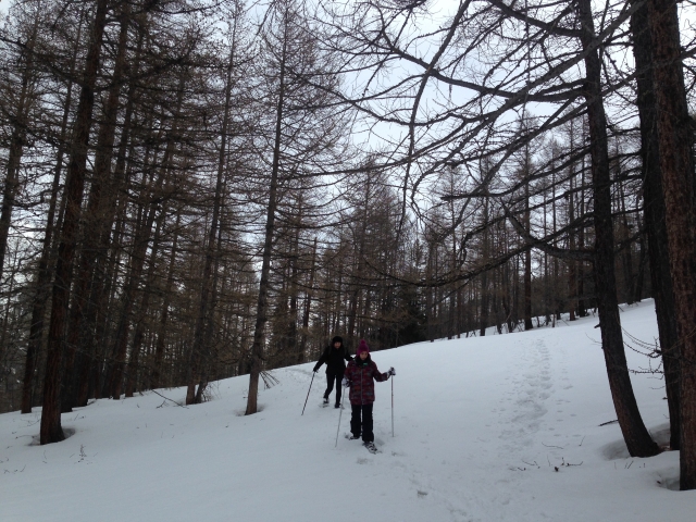  raquetas de nieve 