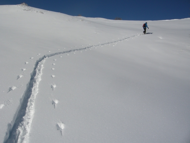  滑雪登山 