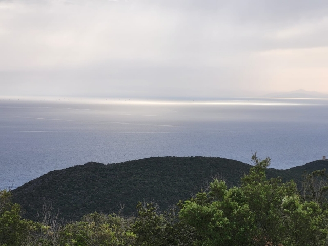  Vue sur la mer en Toscane 