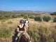Passeggiate a Cavallo Magliano in Toscana