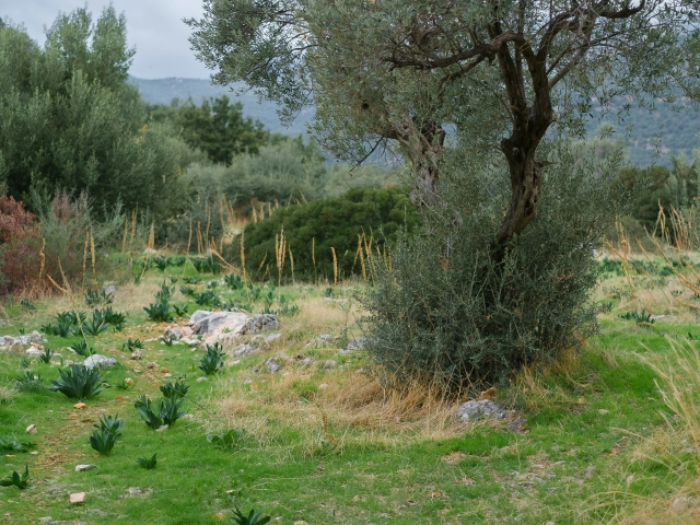  Sentiers de la Maremme 