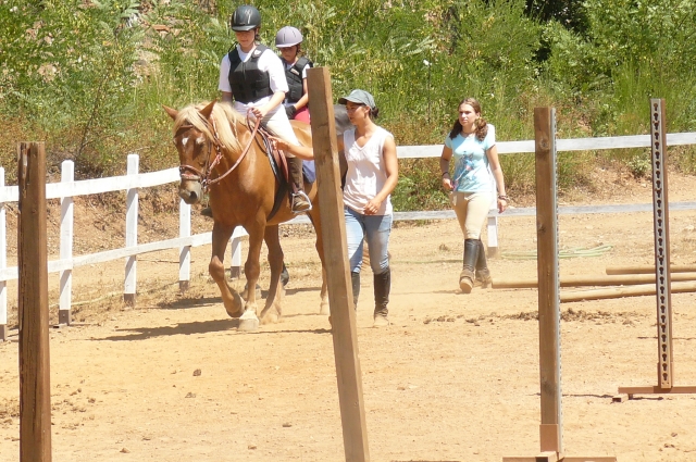 Sommer-Reitcampus 