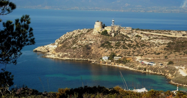 calamosca