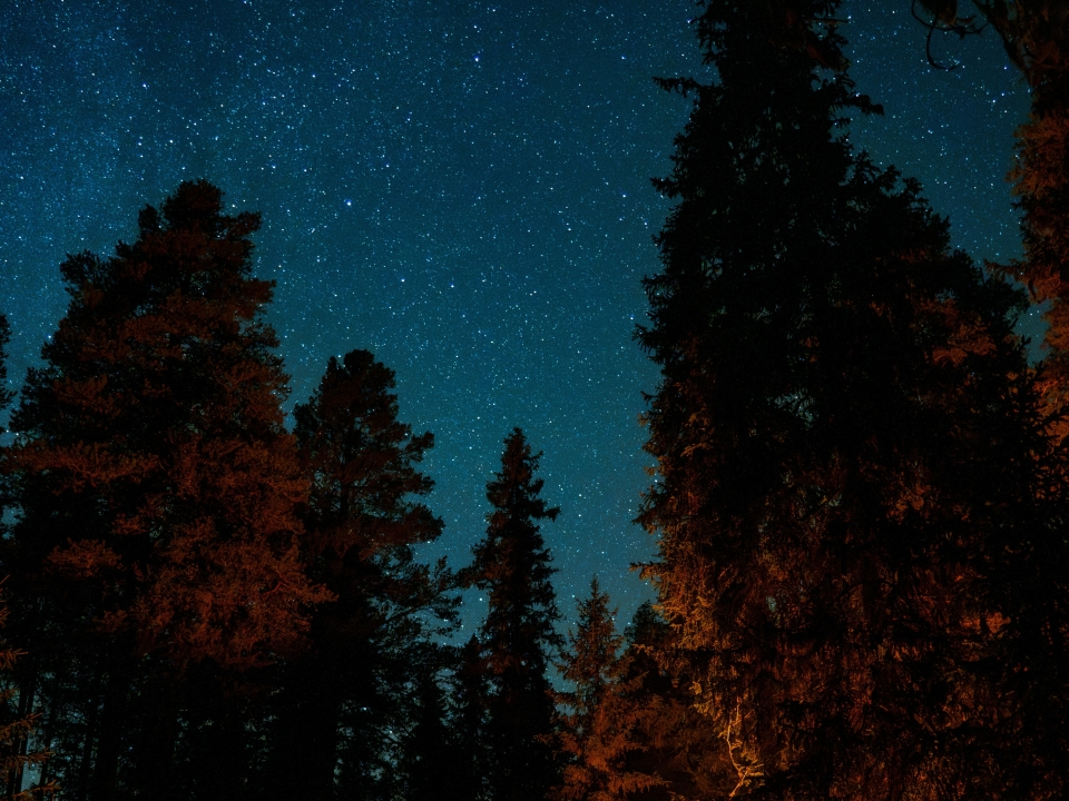  excursion en soirée, ciel du retour après le dîner 