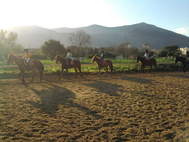 Reitschule und Pferdepension 