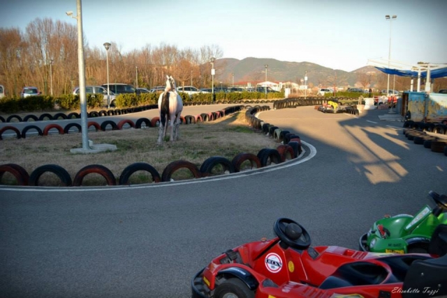  Gokartbahn 