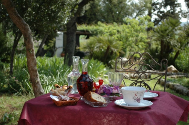  le jardin 