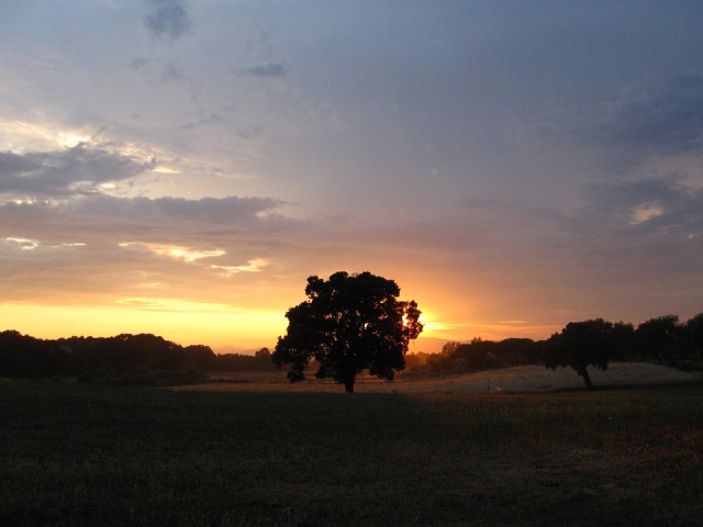  atardecer toscano