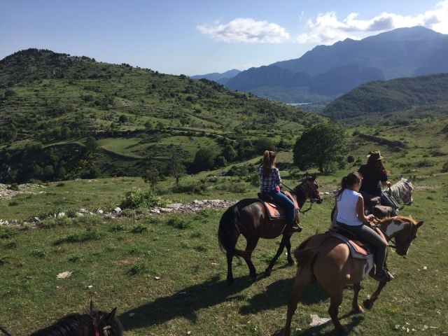  Paseo a caballo en la naturaleza 