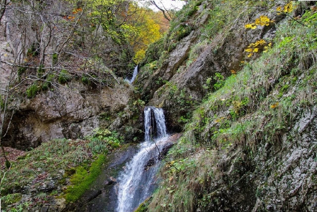  La réserve naturelle du parc 