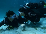 Open Water Diver Course, Malfatano Head - 3 Tage