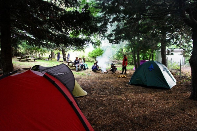 The campsite 