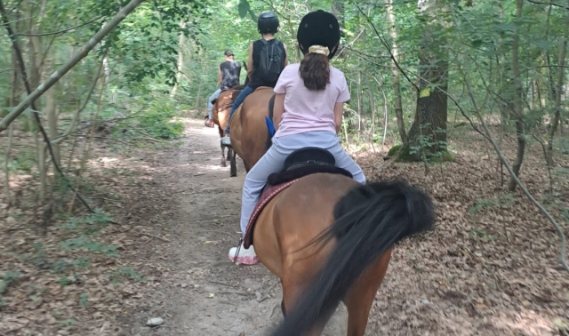 Passeggiata a cavallo famiglie Parco del Ticino 1h