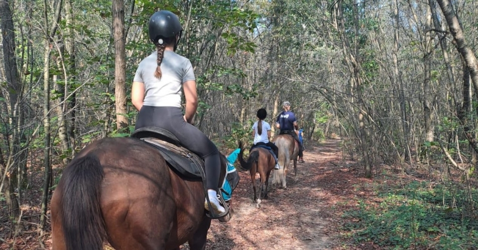 自然漫步 自然漫步