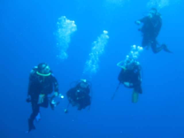  Diving Course -18 m