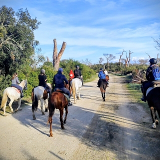 Half day horseback riding excursion Ostia + lunch