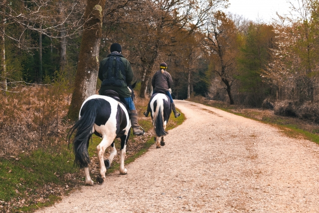 Passeggiata a cavallo 3 ore Parco della Maremma