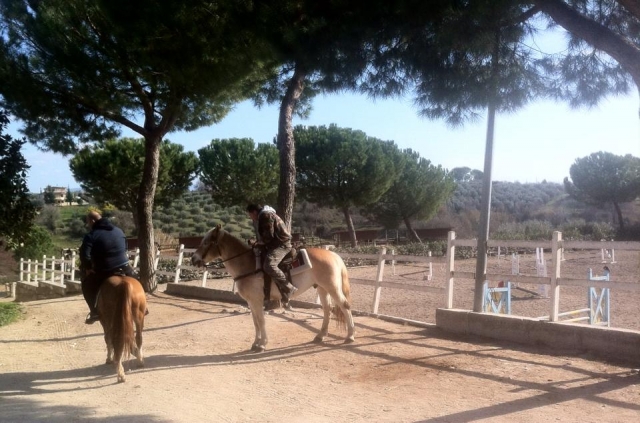  Reitspaziergang 