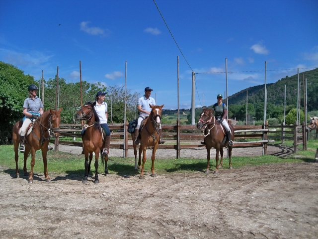 Todos a la silla 