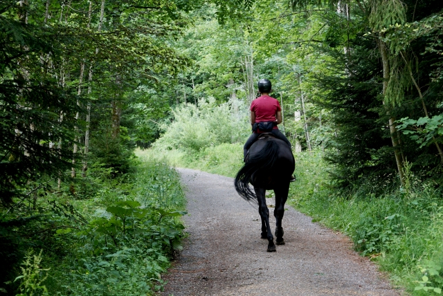 Horseback riding for beginners 1h, Lazio