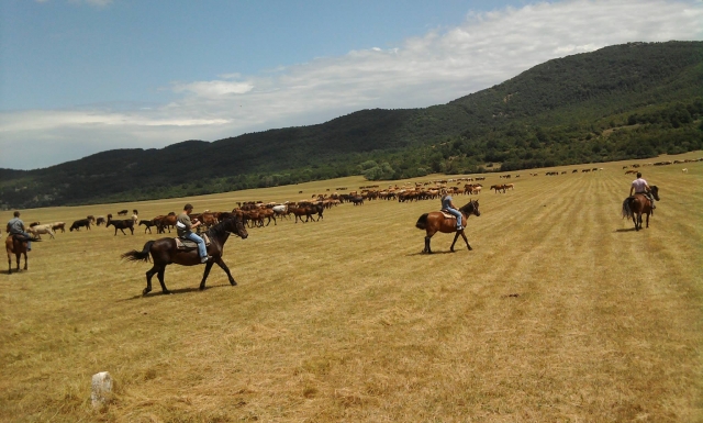 Galop à Castel di Sangro 