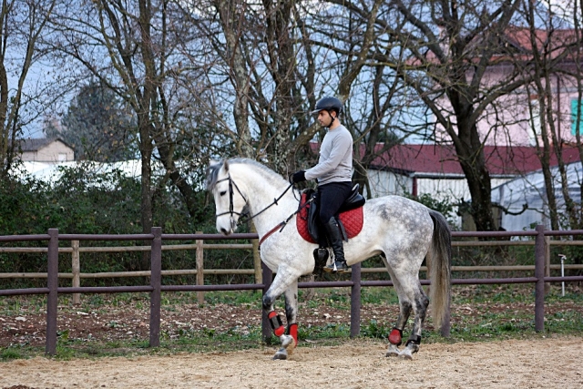  Cours d'équitation.jpg