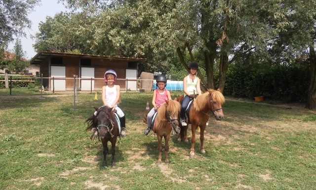  Sur les poneys 