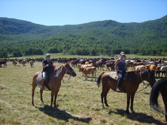  Montar en Molise 