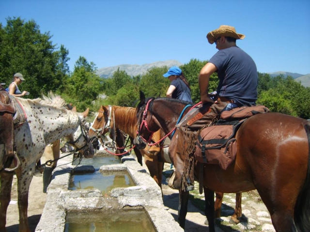 Pausa para cavalos e cavaleiros 