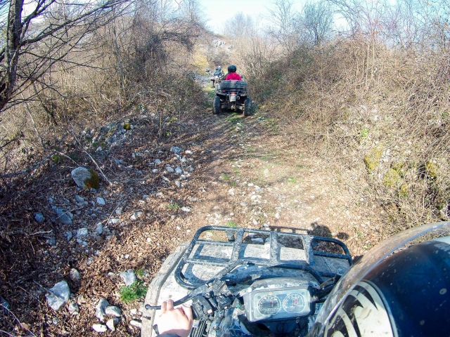 Quad tour in the woods 