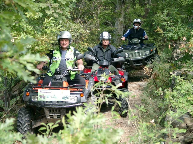 Quad adventure in the forest 