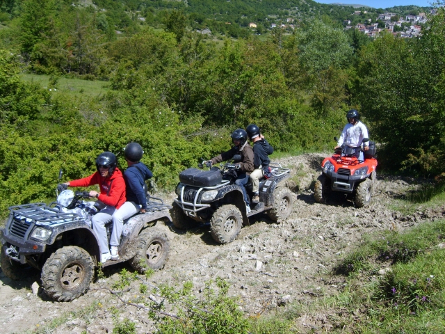 Sterrati e boschi