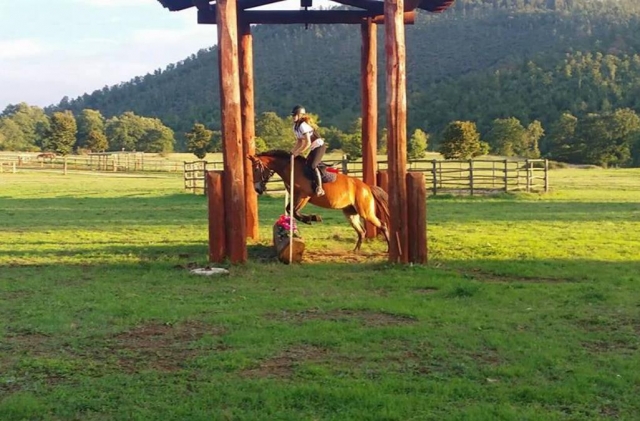  Reiten auf dem Gutshof