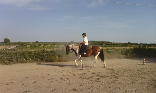 in campo