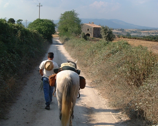 quasi arrivati