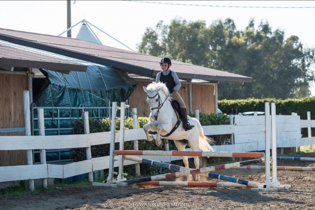  horse riding 