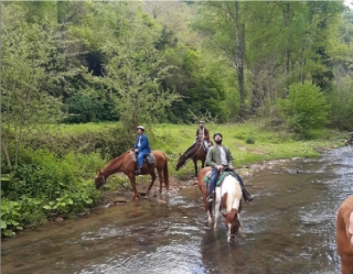 Passeio noturno a cavalo e jantar em Sorano 1h30'