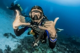 Curso Águas Abertas 4 Especialidades + OWD Avançado